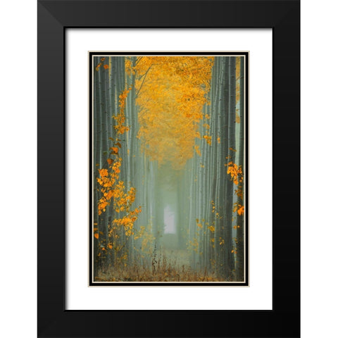 Misty Autumn Path Black Modern Wood Framed Art Print with Double Matting by Jacobs, Lydia