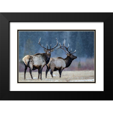 First Snow Black Modern Wood Framed Art Print with Double Matting by Verdon