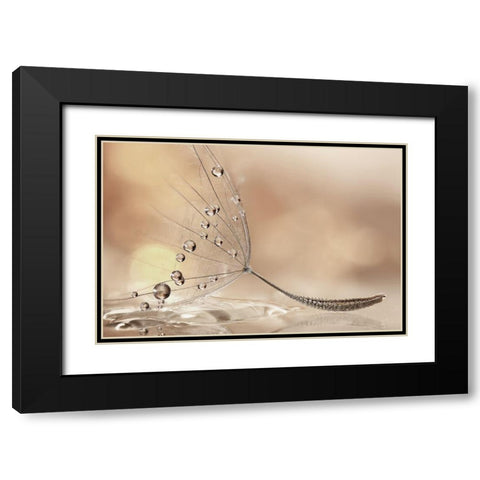 Prestige Black Modern Wood Framed Art Print with Double Matting by Barbieri, Rina