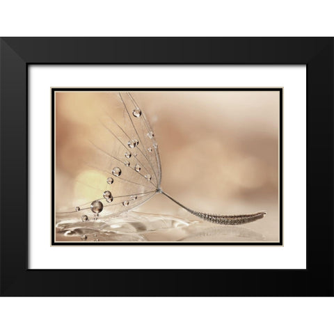 Prestige Black Modern Wood Framed Art Print with Double Matting by Barbieri, Rina