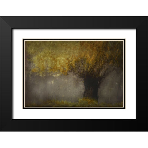 Pollard Willow Black Modern Wood Framed Art Print with Double Matting by Talen, Nel