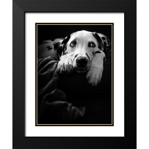 Nothing Is Happening :-( Black Modern Wood Framed Art Print with Double Matting by Scherhag, Ute