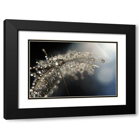 Reflection Explotion Black Modern Wood Framed Art Print with Double Matting by Westum, Heidi