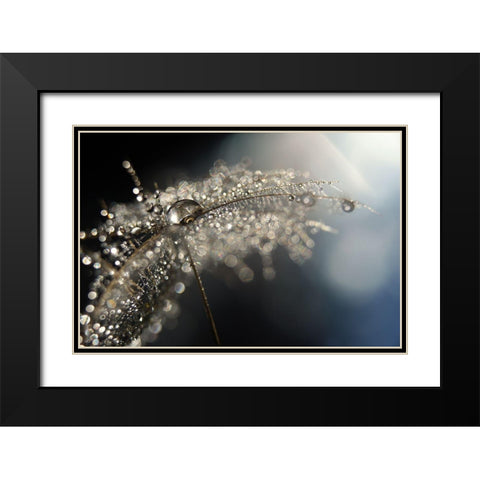 Reflection Explotion Black Modern Wood Framed Art Print with Double Matting by Westum, Heidi