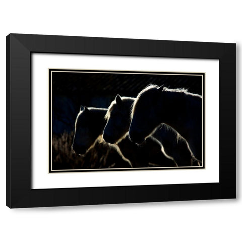 Horses (Colored Version) Black Modern Wood Framed Art Print with Double Matting by Romaggi, Michel