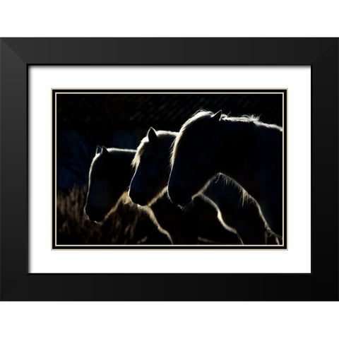 Horses (Colored Version) Black Modern Wood Framed Art Print with Double Matting by Romaggi, Michel