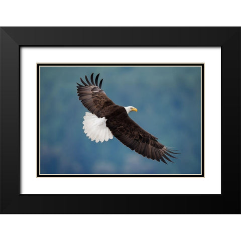 The Pose Black Modern Wood Framed Art Print with Double Matting by H Yang, David