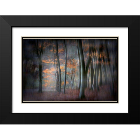 Enchanted Forest Black Modern Wood Framed Art Print with Double Matting by Romaggi, Michel
