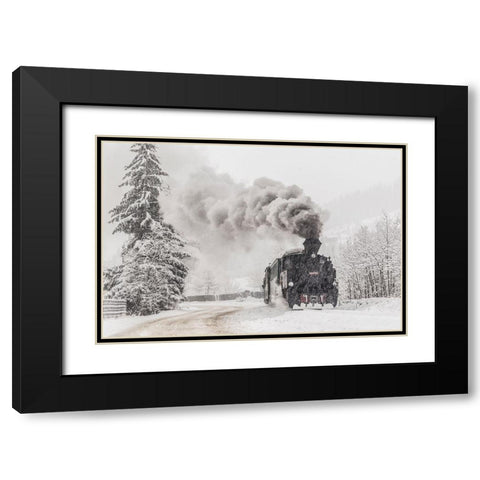 Winter Story Black Modern Wood Framed Art Print with Double Matting by Dorin Lucian, Sveduneac