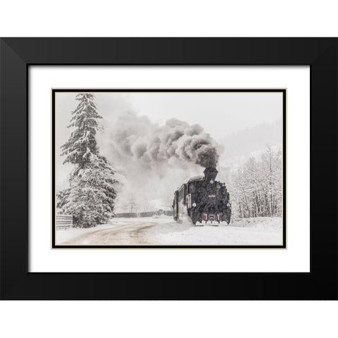 Winter Story Black Modern Wood Framed Art Print with Double Matting by Dorin Lucian, Sveduneac
