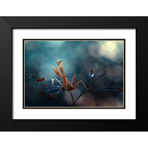 Praying Mantis Black Modern Wood Framed Art Print with Double Matting by Gapur Dayak, Abdul