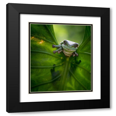 Peek A Boo Black Modern Wood Framed Art Print with Double Matting by Maududdin, Fauzan