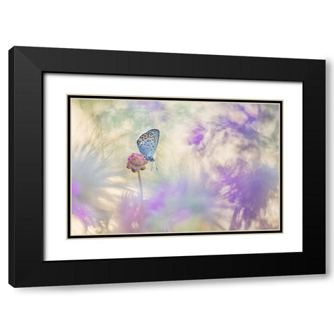 Pulsatilla Meadow Black Modern Wood Framed Art Print with Double Matting by Spranz, Henrik