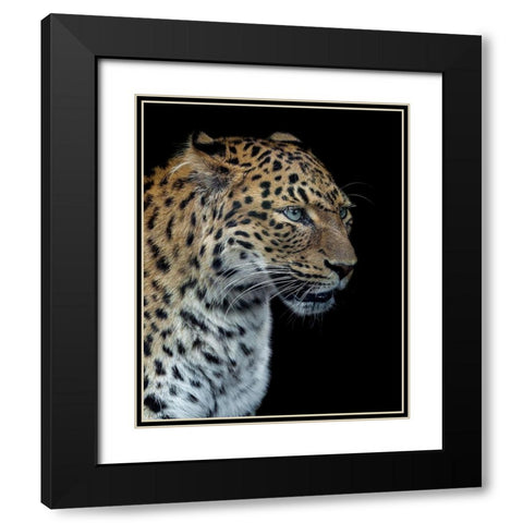 Panthere Portrait Version 2.0 Black Modern Wood Framed Art Print with Double Matting by Lothare Dambreville, Laurent