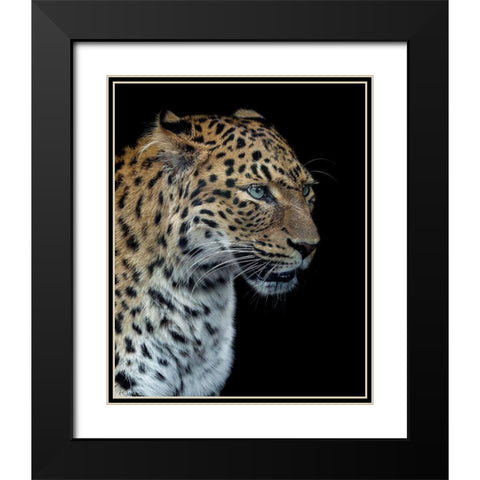 Panthere Portrait Version 2.0 Black Modern Wood Framed Art Print with Double Matting by Lothare Dambreville, Laurent