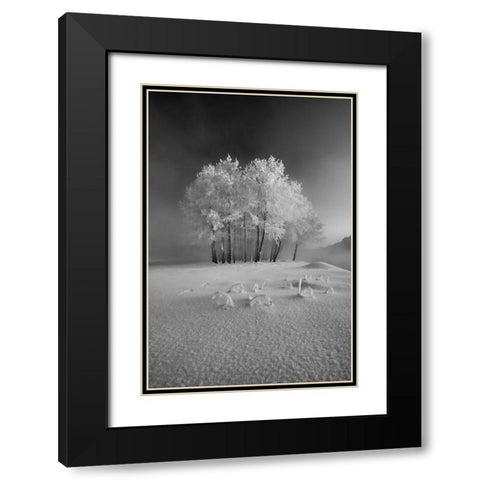 The First Snow Black Modern Wood Framed Art Print with Double Matting by Mierzejewski, Krzysztof