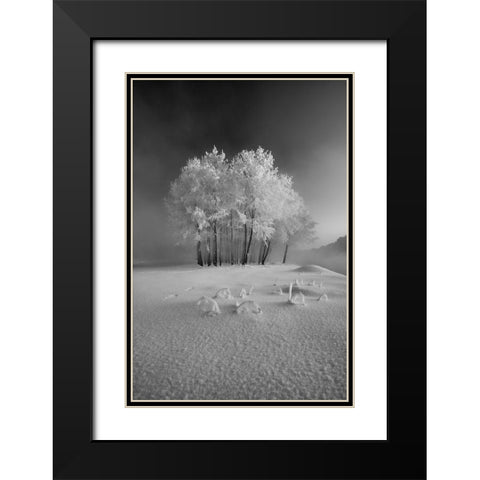 The First Snow Black Modern Wood Framed Art Print with Double Matting by Mierzejewski, Krzysztof