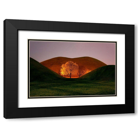 Magnolia Black Modern Wood Framed Art Print with Double Matting by Namkoong, Bongok