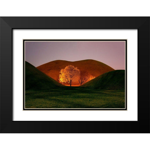 Magnolia Black Modern Wood Framed Art Print with Double Matting by Namkoong, Bongok