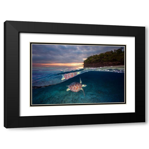 Green Turtle With Sunset Black Modern Wood Framed Art Print with Double Matting by Gabriel, Barathieu
