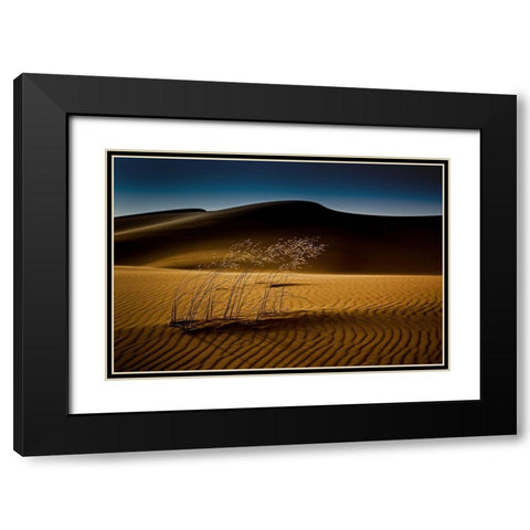 Seedasand Black Modern Wood Framed Art Print with Double Matting by Inderst, Rainer