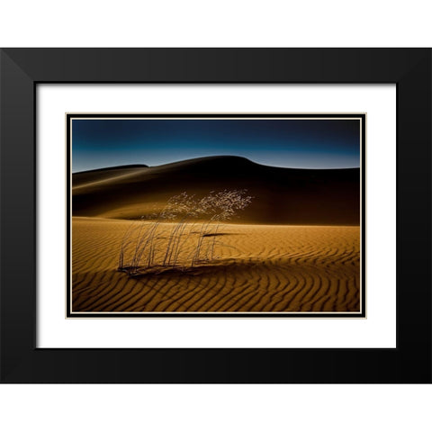 Seedasand Black Modern Wood Framed Art Print with Double Matting by Inderst, Rainer