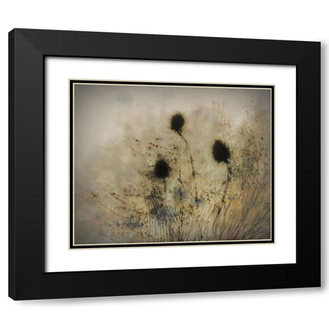 Seed Boxes Black Modern Wood Framed Art Print with Double Matting by Talen, Nel
