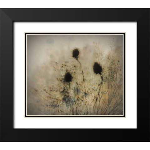 Seed Boxes Black Modern Wood Framed Art Print with Double Matting by Talen, Nel