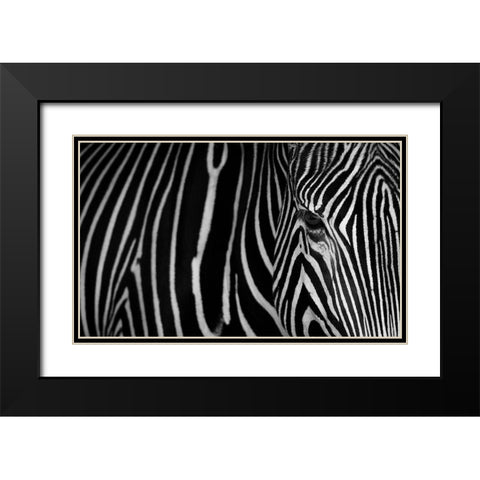 Stripes Black Modern Wood Framed Art Print with Double Matting by Saavedra Ruiz, Sergio