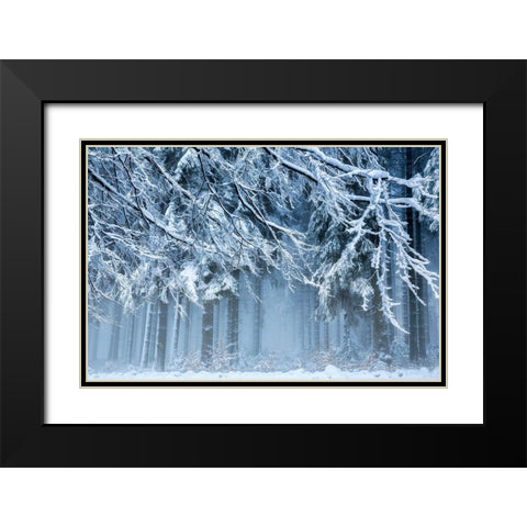 Snowworld Black Modern Wood Framed Art Print with Double Matting by Van Dongen, Anton