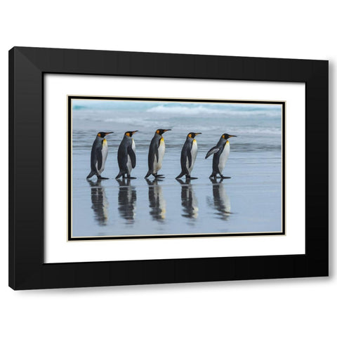 Five Online Black Modern Wood Framed Art Print with Double Matting by Angel Artus, Miquel