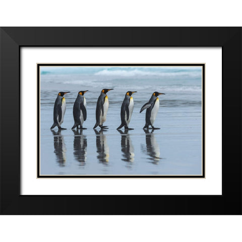 Five Online Black Modern Wood Framed Art Print with Double Matting by Angel Artus, Miquel