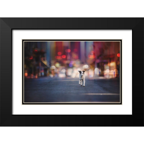 Leaving Las Vegas... Black Modern Wood Framed Art Print with Double Matting by Willers, Heike