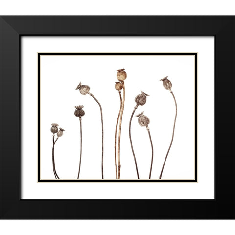 Poppies Black Modern Wood Framed Art Print with Double Matting by Gronkjar, Lotte