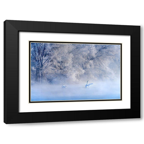 Swan Lake Black Modern Wood Framed Art Print with Double Matting by Zhu, Hua