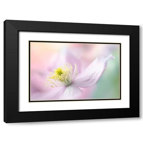 Mayleen Black Modern Wood Framed Art Print with Double Matting by Parker, Jacky