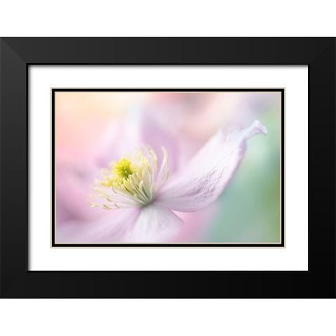 Mayleen Black Modern Wood Framed Art Print with Double Matting by Parker, Jacky