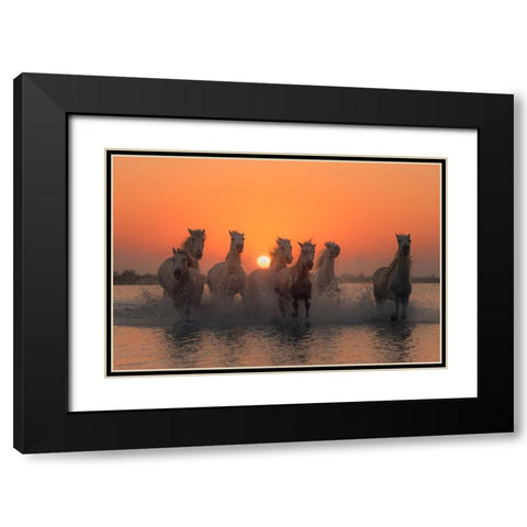 Sunset In Camargue Black Modern Wood Framed Art Print with Double Matting by Anton, Rostovskiy