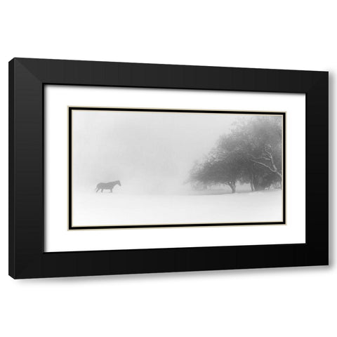 Lone Horse Black Modern Wood Framed Art Print with Double Matting by Eliash, Tomer