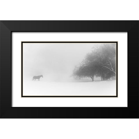 Lone Horse Black Modern Wood Framed Art Print with Double Matting by Eliash, Tomer