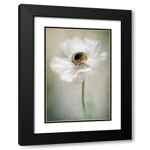 Single White Black Modern Wood Framed Art Print with Double Matting by Parker, Jacky