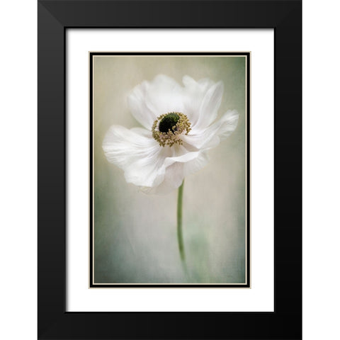 Single White Black Modern Wood Framed Art Print with Double Matting by Parker, Jacky