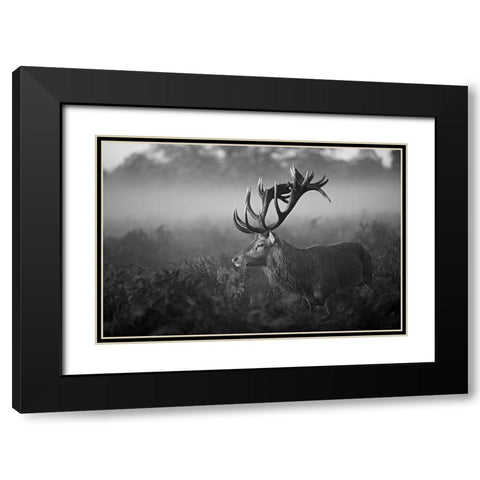 Sunny Morning Black Modern Wood Framed Art Print with Double Matting by Fabrowski, Robert