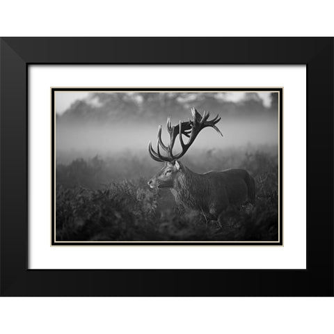 Sunny Morning Black Modern Wood Framed Art Print with Double Matting by Fabrowski, Robert