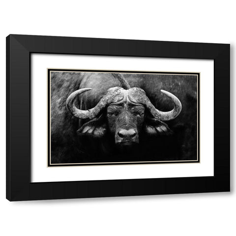 The Stare Black Modern Wood Framed Art Print with Double Matting by Wildphotoart
