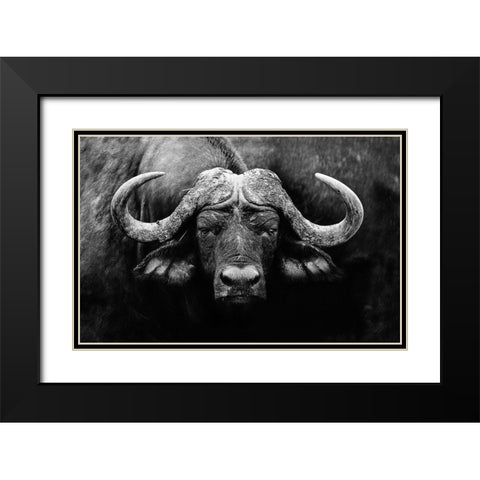 The Stare Black Modern Wood Framed Art Print with Double Matting by Wildphotoart