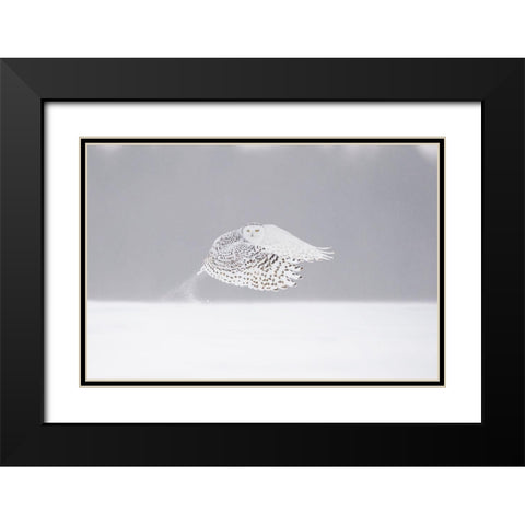 The Take-Off Black Modern Wood Framed Art Print with Double Matting by Pozzi, Marco