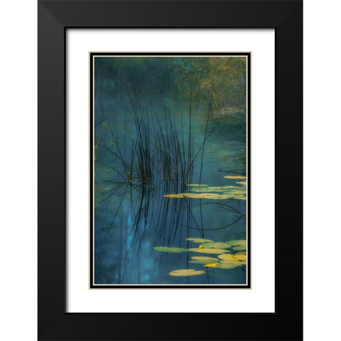 Aqua Black Modern Wood Framed Art Print with Double Matting by Agazzi, Andreas