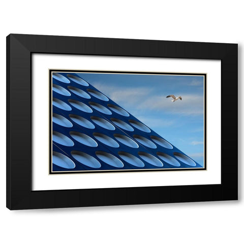 The Seagull Black Modern Wood Framed Art Print with Double Matting by van Maastricht, Henk