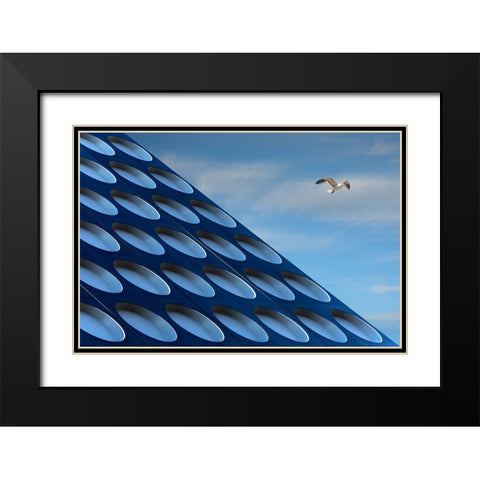 The Seagull Black Modern Wood Framed Art Print with Double Matting by van Maastricht, Henk